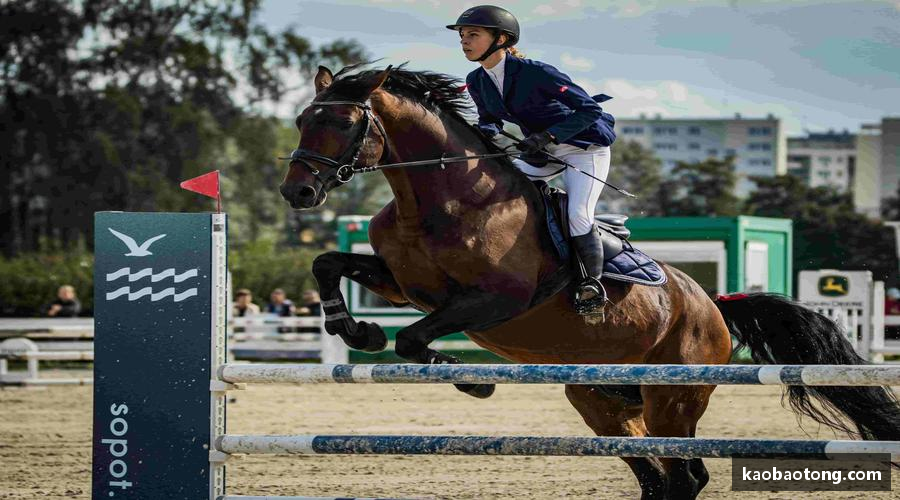 介绍威尼斯99499